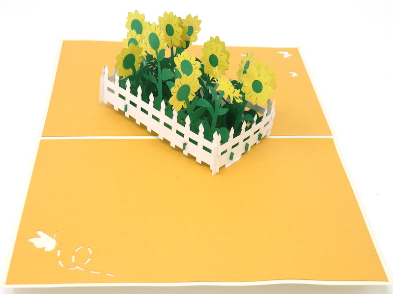 Birthday pop-up cards