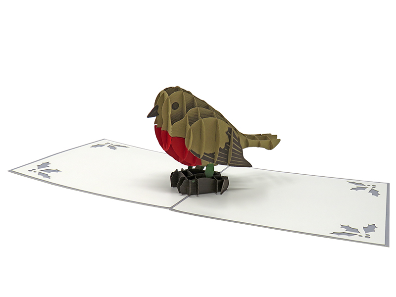 Robin pop-up card