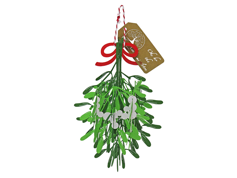 Oh ho, the Mistletoe! pop-up card