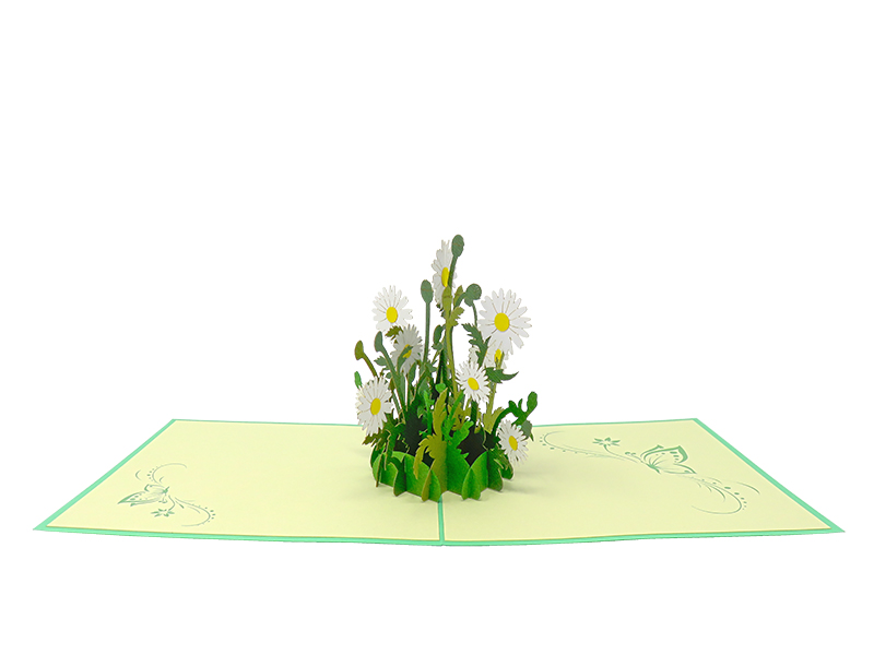 White Chrysanthemums pop-up card