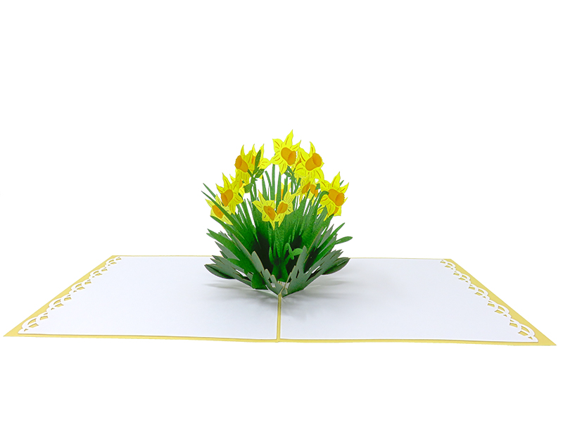 Daffodils pop-up card